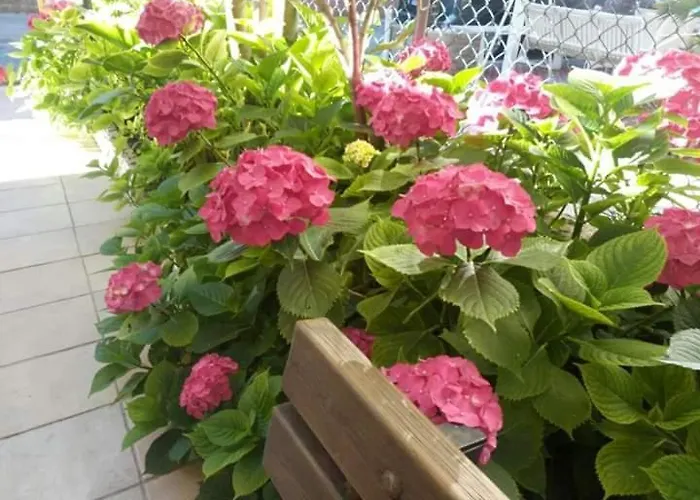 Rocchi * Римини